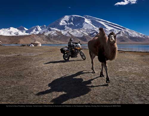 October: by Anna & Claus Possberg, Germany. Camel chase in West China on the border with Pakistan on the Karakoram Highway, Muztag Ata in the background; BMW F800.
