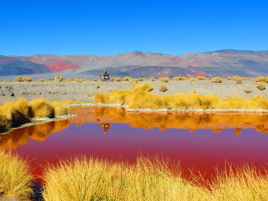 Photo by Ellen Delis, Lagunas Ojos del Campo, Antofalla, Catamarca