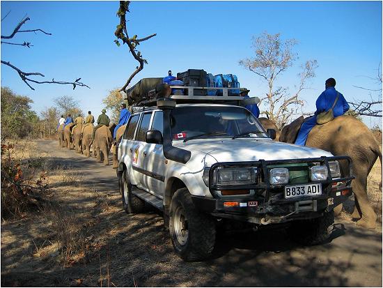 Zimbabwe - cruiser plus elephants.