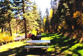 Camping area, Geneva Creek, Colorado.