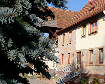 Campingplatz Pfrimmtal.