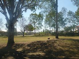 Beaudesert camping.