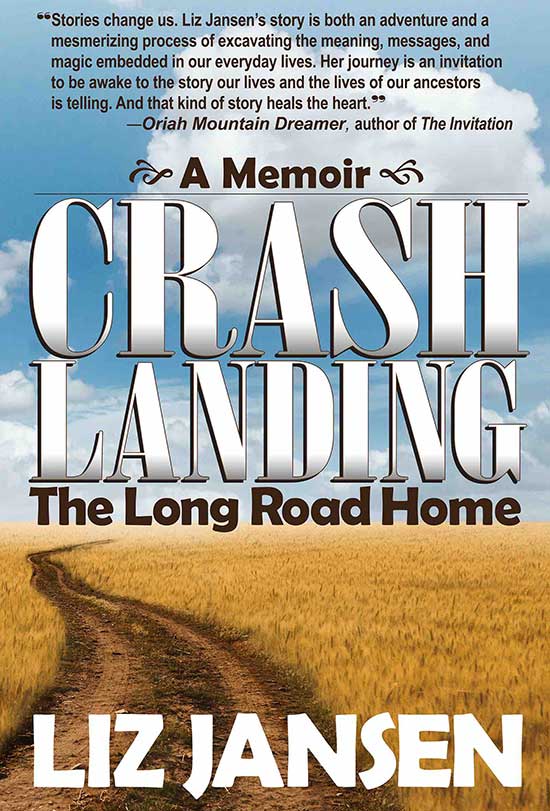 Liz Jansen, Crash Landing book cover