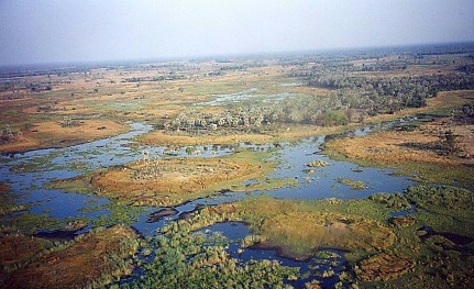 Okavengo Delta from the air