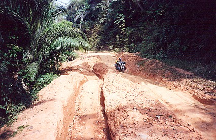 A bad decision to take this shortcut road