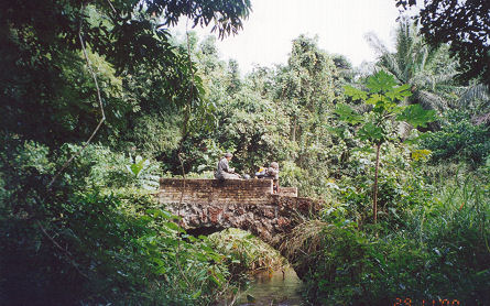 Relaxing on a Belgian built arch bridge now overgrown