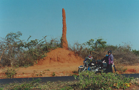 Tall skinny termite mounds
