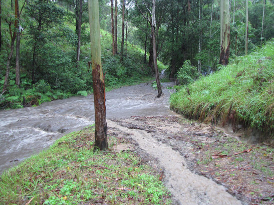 Our small creek in flood