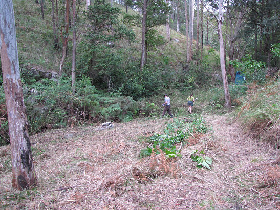 Clearing ground for the gazebo site