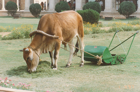 Recycling at its zenith, Red Fort Delhi