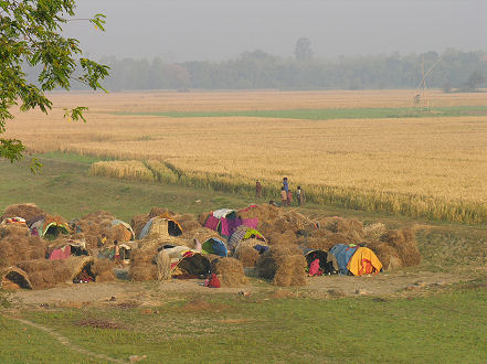 Temporary dwellings for farm workers harvesting crops