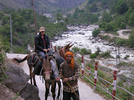 Our pack mules up the 13km climb