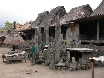 Part of the traditional village of Bena near Bajawa