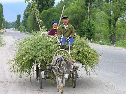 More horse and donkey wagons than cars is this part of Kyrgyzstan