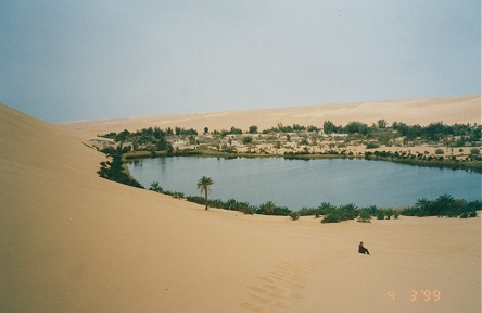 Kay sitting on the sand dune overlooking a typical desert oasis
