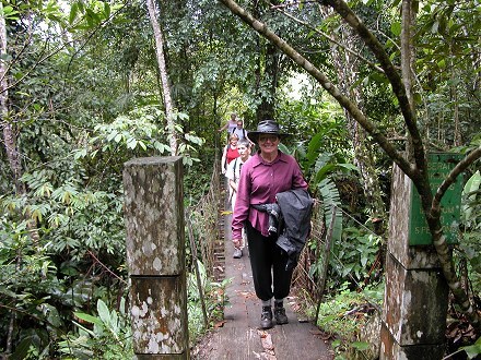 Guided walk at Mt Kinabalu, pants tucked into socks to deter the many leeches