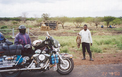 Bush meat sold by the roadside