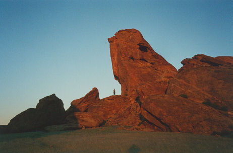 Morning light at our desert camp