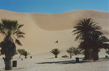 Challenging the motorcycle, and me, trying to ride up dune 7