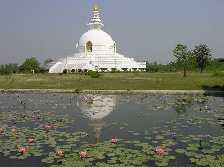 Peace Pagoda with lotus water lillies in the foreground