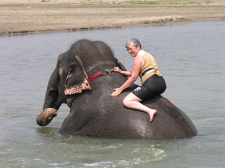 Kay had a more playful elephant