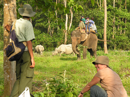 Shepherded around a couple of rhino by an elephant
