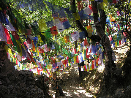Prayer flags flying at the Buddhist Gompa, Daman