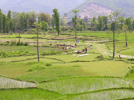Rural scene near Pokhara