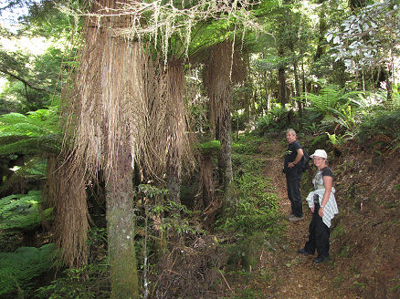 Along the Ruapani Circuit to Lake Waikareiti