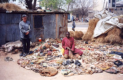 Animal body parts for traditional medicine