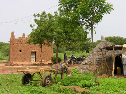 Mud brick mosque in a small grass hut village