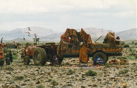 Modern nomads, chasing grass on tractors