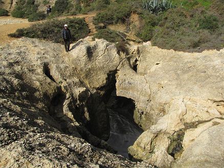 One of many coastal sinkholes along our coastal walks