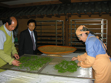 Kay having a try at tea processing