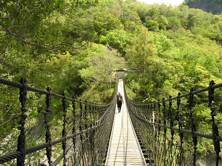One of many suspension bridges in the park