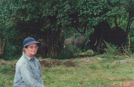 Elephants drawing water from the well at our campground