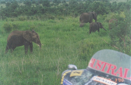 Mikumi National Park, one of the few we can use the motorcycle in