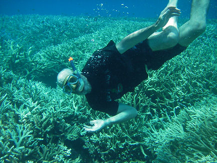 Snorkelling above a coral outcrop in the lagoon