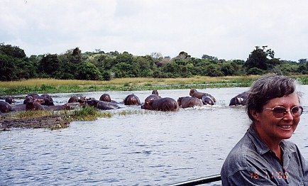 Hippopotomus at Murchison Falls National Park