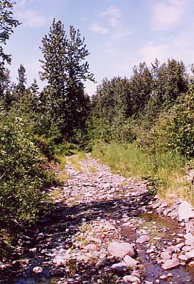 The trail that got me into bear country and up to the border of the Denali National Park.