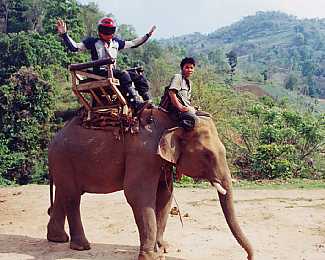 Riding an elephant.