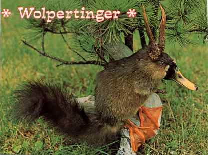 photo of Wolpertinger