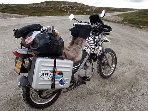 Ortlieb rack pack review online