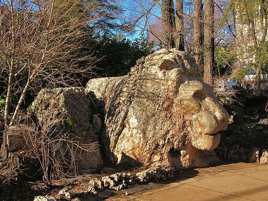 Lion of Ifrane, from Wikipedia.