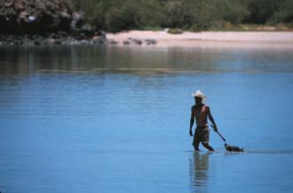 Fisherman bringing in his catch, Baja California.