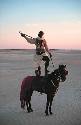 Bedouin posing on camel - desert near Douz, Tunisia