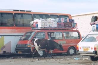 Egyptian customs area.