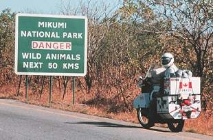 Wild Animal Warning sign, road through Mikumi National Park, Tanzania.