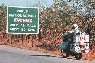 Grant Johnson in Mikumi National Park, Tanzania.