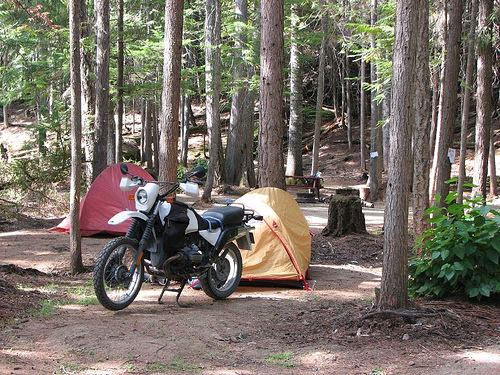Fabulous camping area in the deep in the forest of British Columbia.